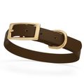 Dog Pet Collar with Brass Hardware Size S W 5/8...