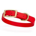 Dog Pet Collar with Brass Hardware Size S W 5/8...