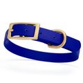 Dog Pet Collar with Brass Hardware Size S W 5/8...