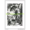 ISOLA BELLA, LAGO MAGGIORE, ITALY, Book Illustr...