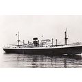 Ellerman Perth Perthshire Sea Liner Ship Photo ...