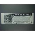 1912 The Balsams Hotel Ad
