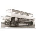 Black & White Photograph of Newport Corporation...