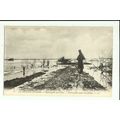 Belgium GREAT WAR Ramscapelle Under Water Postc...