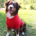 Flex-Fit Hoodie- RED 3X-LARGE