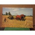 HARVESTING WITH HORSES unused postcard by Salmon #