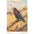 Vintage Valentine's Art Card - Winifred Austen ...