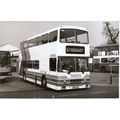Black & White Photograph of Stagecoach South Co...