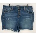Torrid High Rise 5" Stretch Denim Shorts Size 1...