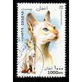 Afghanistan 1996 Cat 1000AFG Used Stamp