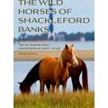 Wild Horses of Shackleford Banks