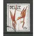 Belize 1992 Easter 25c Orchid, used. SG1120
