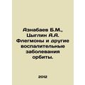 Aznabayev B.M., Tsyglin A.A. Phlegmons and other inflammatory diseases of the