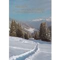 Christmas Greetings Card Germany Postcard used VGC