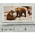 1958 Horniman's Tea card Wild animals No. 25 Ko...