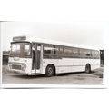 Black & White Photograph of Trent Motor Tractio...