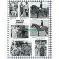 (7979) East Yorkshire Riding Club Melton Mary R...