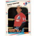 1988 Fleer Andres Galarraga Rookie baseball car...