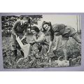 c.1980s PC 3 Women from Bourne & Hollingworth L...
