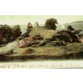 Montgomery Castle, Wales, Rare Postcard, 1905