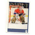 1989-90 O-PEE-CHEE NHL Hockey Stickers Patrick ...