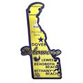 Delaware The First State Foil Fridge Magnet