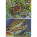 UKRAINE Maxi card Kyiv EUROPA Underwater Fauna ...