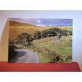 CHETSFORD BRIDGE, SOMERSET unused postcard. Exm...