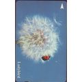 Lady Bird S'pore $10 Telephone Card (Used)