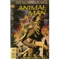 Animal Man Annual (1993) # 001 NM MODERN AGE CO...