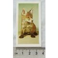 1960 Horniman's Tea card Pets No. 9 Fox Cub