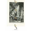 Tamadare Waterfall, Japan, Book Illustration (P...