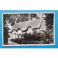 Studland, The Cottages - Dorset postcard