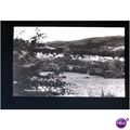 Wales PUMPSAINT Village Postcard (7471)
