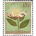 BELGIAN CONGO, FLOWER, Protea argyrea, green 1952, 29mm, #2