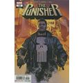 Punisher (Vol 9) # 012 NM MODERN AGE COMICS