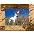 Brittany Spaniel Laser Engraved Wood Picture Fr...