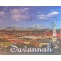 Savannah Georgia with Bridge 3D Fridge Magnet