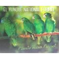 El Yunque National Forest 3D Fridge Magnet