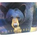 North Carolina with Black Bear 3D Fridge Magnet