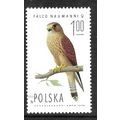 POLAND 1975 1z LESSER KESTREL FEMALE SG 2342 FI...