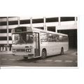 Black & White Photograph of Maidstone Borough C...