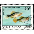 Vietnam 1981 Marine Life Fish 20xu Used Stamp