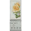 1914 Wills Roses 2nd Series No. 97 Sunburst (Hy...