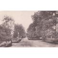 E223 ROMSEY - ABBEY WALK