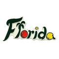Florida 4 color Fridge Magnet