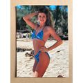 Ujena Swimwear Illustrated 1994 Edition Base tr...