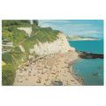 Beer from Beer Head Devon Postcard 1255