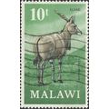 MALAWI, MAMMAL, Eland, Taurotragus oryx, grey-g...
