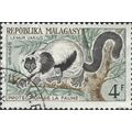 MADAGASCAR, MAMMAL, Black-and-white ruffed lemu...